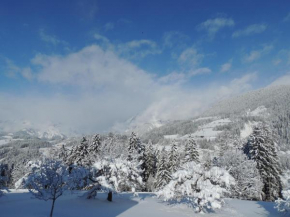 Aubauer, Bischofshofen, Österreich